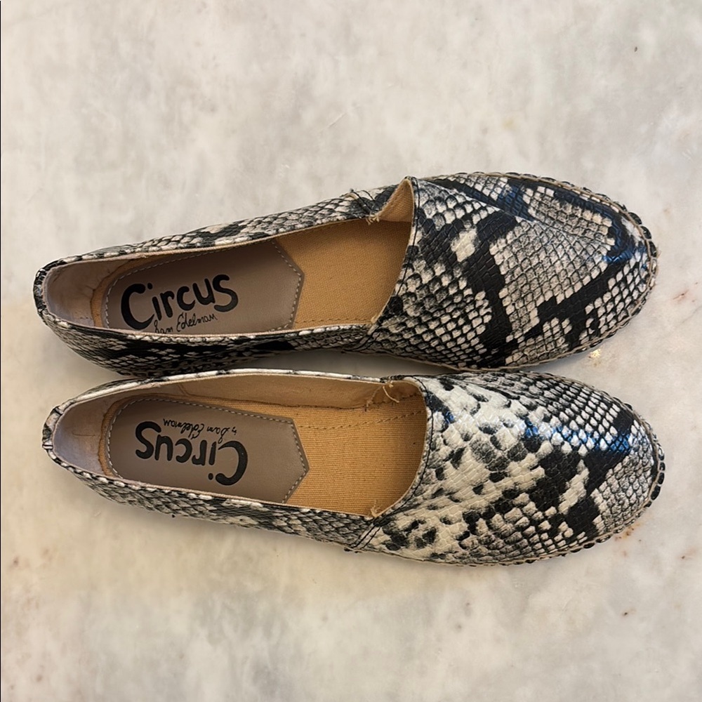 Circus by Sam Edelman Black and Gray Snake Print Loafers